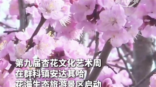 青海省化隆县：第九届杏花文化艺术周启动