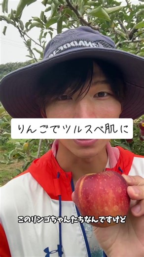 りんごでツルスベ肌に🍎 りんごに主に含まれる ・りんごポリフェノール ・ビタミンC ・カリウム が、すごい美容効果をもたらしてくれるそうです！ スターカット(輪切)で食べてみてください！ #大子町 #りんご #りんご狩り #茨城 #おすすめ #農業 #美肌 #肌荒れ #ニキビ #美肌になる方法 #ビタミンc