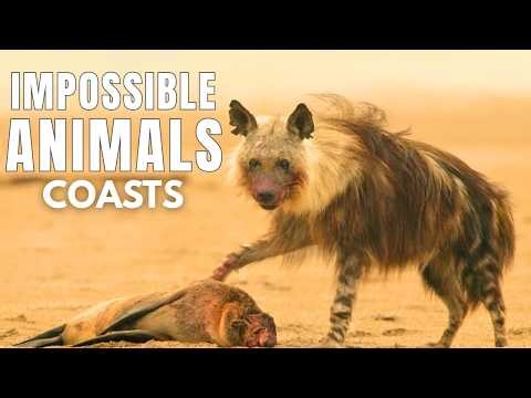 IMPOSSIBLE ANIMALS: The Edge of Survival | National Geographic | Animal Planet Hindi Documentary