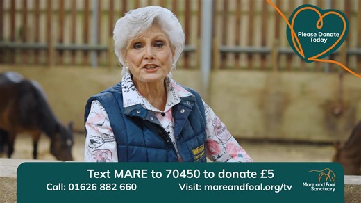 2.3K views · 53 reactions | Have you seen our new TV advert featuring...