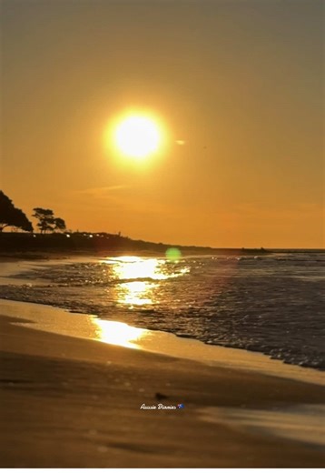 Discover Perth: A Journey Through Mandurah, Australia