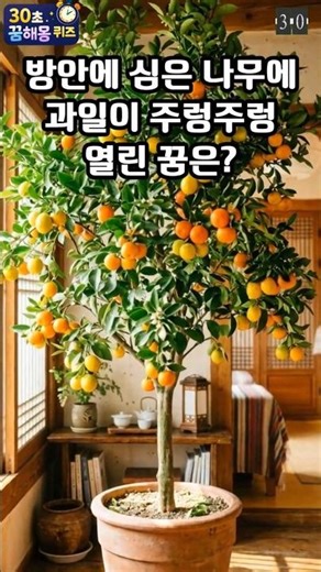 방안에 심은 나무에 과일이 주렁주렁 열린 꿈은? (30초꿈해몽퀴즈) #꿈풀이 #꿈해석 #해몽 #꿈뜻 #꿈의미 #지식