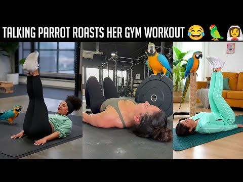 👉 Talking Parrot Roasts Her Gym Workout 😂 | Funniest Fitness Video on YouTube | Viral Comedy 4K