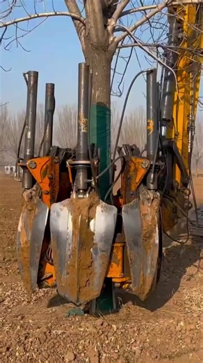 Edison on Instagram: "Garden tree moving essential - Tree Transplanter! One-click root cutting with soil ball, 100% survival rate, flexible movement for all sites, a must-have for nursery & greening transplant✨ #TreeTransplanter #GardenEquipment #HeavyEquipment #ConstructionMachinery #GardenTools"