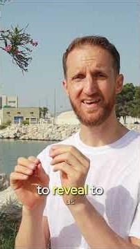 What is Non Duality ?