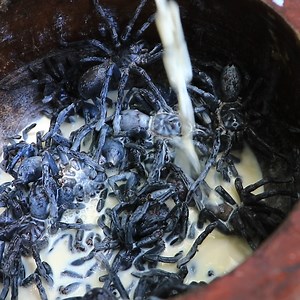 107K views · 1.1K reactions | Unique Big Man Eat Tarantula With Fresh Milk | Rural Cooking | Facebook