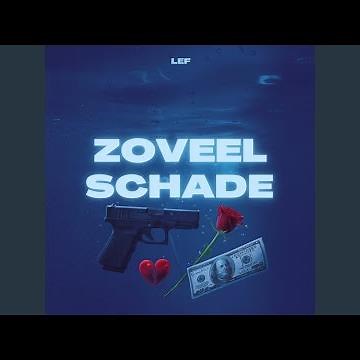 Zoveel schade