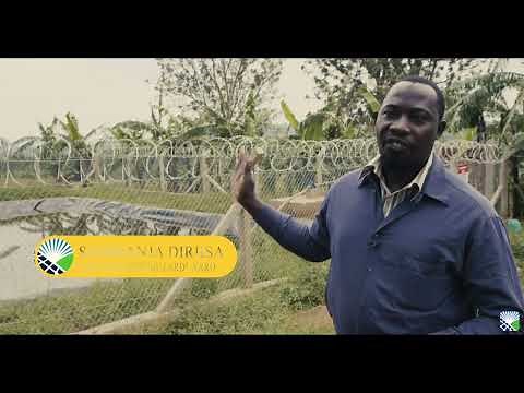 Solar Irrigation Water Pumping - Uganda - Africa