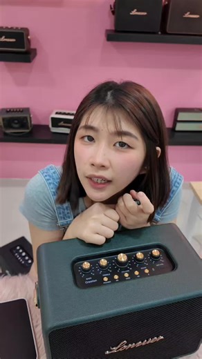 Powerful Class D Karaoke Speaker for Sale