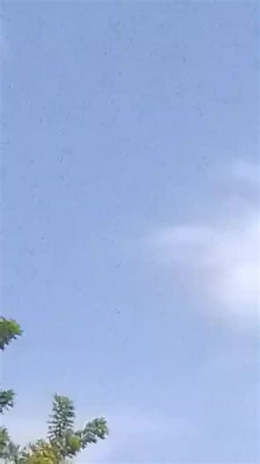 Junior Vasquez on TikTok