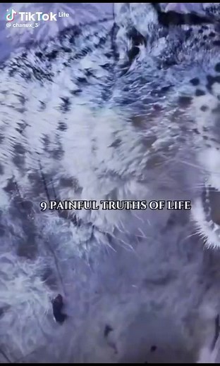 Claudia Marie on TikTok