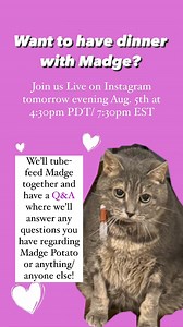 Join us for dinner with Madge Potato tomorrow night LIVE on Instagram! We’ll tube feed Madge together and have a Q&A 🩷 Details below 👇 | Uncle Neil’s Home, A Farm Sanctuary