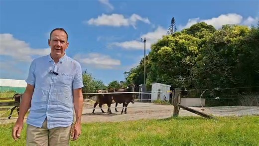 1K views · 21 reactions | Quarterly update with our Science Manager Chris Boom from AgFirst Northland. Exciting times with setting up for our new trial as well as finishing our current trial strongly. | Northland Dairy Development Trust - NDDT | Facebook