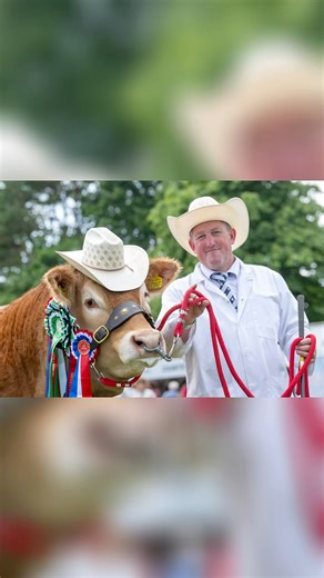 Happy birthday Steven O'kane Keadyview. Thank you for all of the amazing work you do for A & N - there will be a cold beer with your name on it for sure!🤠🍺 | Arradfoot & Newland Pedigree Livestock