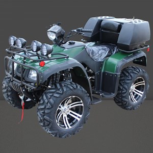 [Hot Item] 250cc ATV 4 Wheel Road Quad Bikes ATV