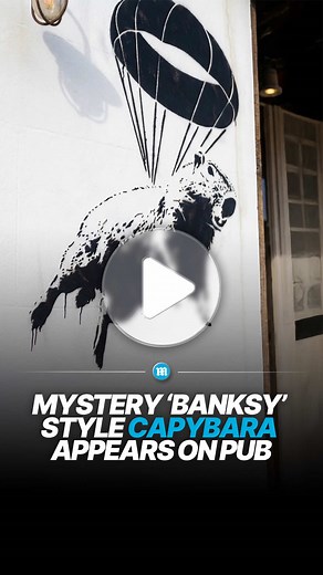 A mysterious Banksy-style mural of a runaway capybara has appeared on the side the London Brew House in Southampton 👀 The artwork appears to reference Samba, the capybara that escaped Marwell Zoo almost two weeks ago. She has been spotted across Wiltshire, but is very good at remaining undetected. The surprise street art popped up overnight and has already drawn crowds eager to snap photos. Locals say the playful tribute perfectly captures the city’s fascination with the famous fugitive rodent.