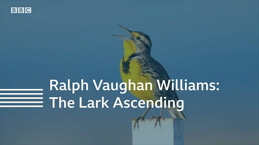 "Mesmerising to listen to, but it feels like that to play as well" Our musicians Zoë & Miriam discuss Ralph Vaughan Williams's 'The Lark Ascending', one of the many BBC Philharmonic recordings you can hear on Experience Classical. 📻 Hear the piece: https://bbc.in/3qulqqA 🔎 Explore the rest of the archive: https://bbc.in/2Jtryie | BBC Philharmonic