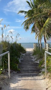 1.4K reactions · 156 shares | Morning walks on Smathers Beach in Key West ❤️ - #keywest #smathersbeach #beachtown | Backyards of Key West Gallery | Facebook