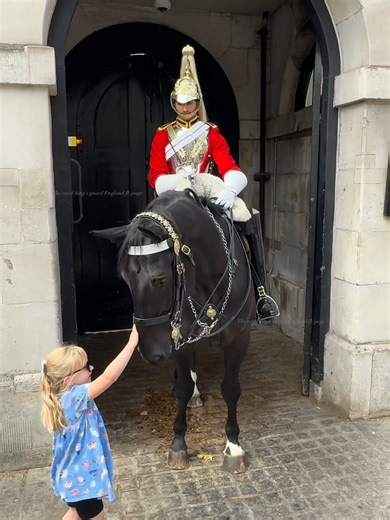 Royal Encounters: A Day with the Horse Guards of London#reelsfacebook #fbreelsvideo #horseguardsparade #kingsguard #peterellis #buckinghampalace #Happiness #london #London #Smile #Tourism #HorseGuard #travelstories #UnforgettableExperiences #ViralReels #HorseGuards #horse #travel #viralreels #Amor