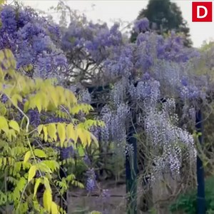 The gorgeous gardens in Exeter are a hidden gem | Devon Live
