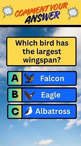 Which bird has the largest wingspan? #usaquiz #gk #riddlechallenge #brainteaser #QuizTime #Philippines #uk #germany | Play Quiz Quiz