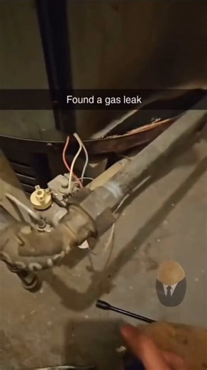 Braindead Bird App (@tragicbirdapp) on X