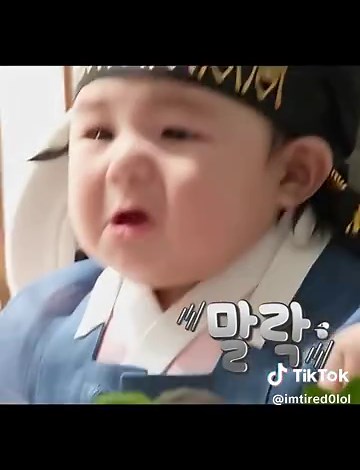 Capture Adorable Moments with Haru: Photo Tips