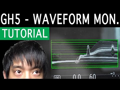 You NEED to learn this: GH5 Waveform Monitor