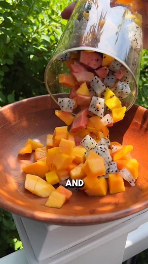 Level Up Your Flavor With Tropical Fruit Box 🍍 Ready for a flavor adventure? Tropical Fruit Box delivers exotic and rare fruits right to your doorstep—the kind you won't find at the grocery store. We make it easy to enjoy the freshest flavors from around the world. Whether you're hosting an event or simply want to elevate your daily routine, our fruits are perfect for: 🥭Customizing your own unique box 🍍Selecting pre-curated offerings 🎉Elevating parties, gatherings, or receptions 🍹Crafting t