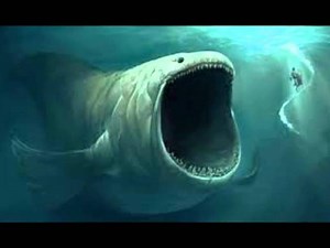 深海に響く怪音「Bloop（ブループ）」 - まこっちゃんのそれなり日記