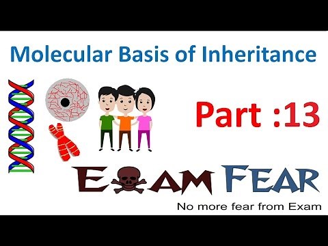 Biology Molecular Basis of Inheritance part 13 (Meselson Stahl Experiment) class 12 XII