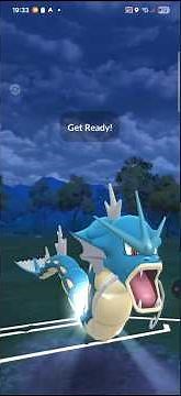 Flying Type Pokémon Battle