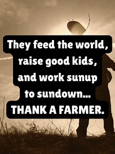 Trending Videos In The World on Reels