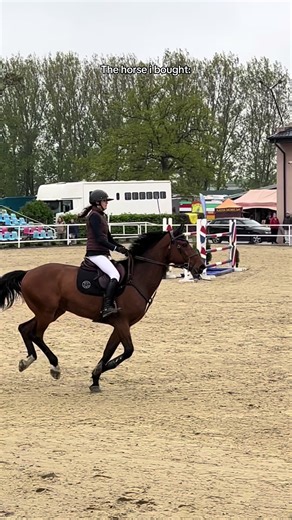 Progress with My Show Jumping Horse