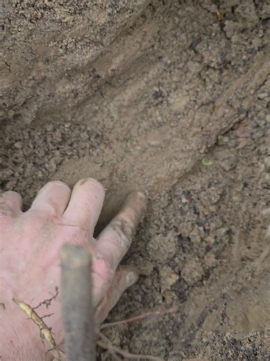 An amazing artifact from the American Civil War! Lost for 160 years! *found on private property with permission* #foryoupage #fyp #metaldetecting #History