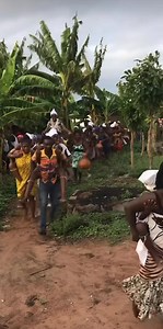 Don’t miss the 2025 Dipo Puberty Rites of the Krobo(Yilo/Manya) people happening between April and May. We are inviting you to come and experience the rich & beautiful Dipo rite. The Dipo rite is a puberty rite performed by a few Dangme tribes– namely the Shai and the Krobo. The Dangme people acknowledges the part women play in the welfare of society; hence the performance of elaborate puberty rites for girls. Dipo is a historical rites of passage among the Shai and the Krobo communities within 