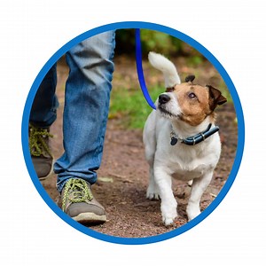 Today is Take a Hike Day! Before you hit the trails, be sure to stop by your local VIP PetCare® to get your pet’s routine vaccinations. Save $15 off any vaccination. Claim coupon for details. https://bddy.me/3HtYTm8 | VIP Petcare | Facebook