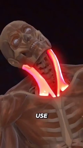 Dr ARAVINDA SURESH | MPT NEURO on Instagram: "Neck Pain- SCM STRETCH #the_physiora"