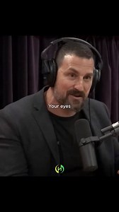 19K views · 76K reactions | Your Eyes Are Your Brain 勞易 Here’s a...