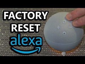 How to Reset Echo Speakers