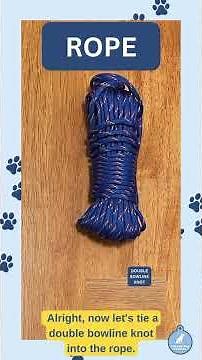 DIY flirt pole for dogs (or cats)