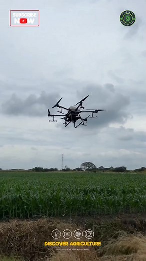 40K views · 645 reactions |  Embrace the Agricultural Evolution ...