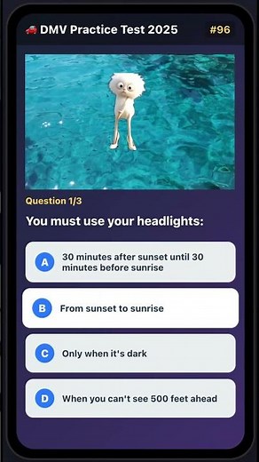 DMV driving license exams Test 2025🚦– Full Series