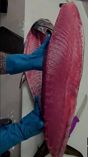 Mastering the Art of Cutting Big Tuna Fish | Step-by-Step Tuna Cutting Process 🐟 #tunacutting