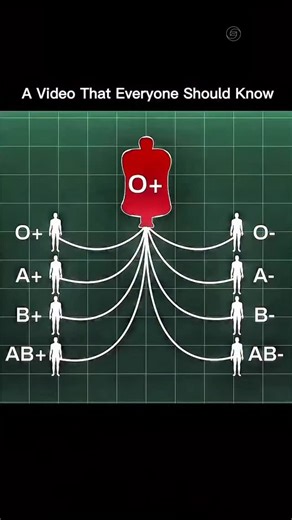 sciencetick__ on Instagram: "There are 8 main blood types. A, B, AB, and O. Each one is either positive or negative. O negative is the universal donor. It can give blood to all types. It can only receive from O negative. AB positive is the universal recipient. It can receive blood from all types. It can only donate to AB positive. Quick guide • O negative donates to all types and receives from O negative only • O positive donates to all positive types and receives from O negative and O positive 
