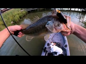 Bass Fishing With A Jitterbug