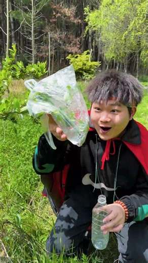 Loki finds the weirdest way to help a dying tree #outdoors #camping #shorts