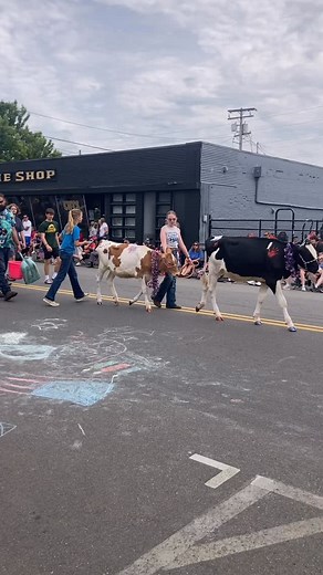 Small town 4th of July. Enjoy the holiday no matter how you celebrate! | Marianne Binetti