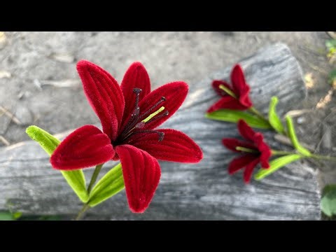 ABC TV | How To Make Lily Flower With Pipe Cleaner #1 - Craft Tutorial