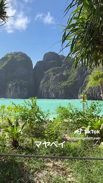 5/26のいちばんのボート会社シースターで行くピピ島ツアー https://phuketgoldtravel.jp/phiphi-bamboo-speed.html https://phuketgoldtravel.jp/phiphi-kai-speedboat.html https://phuketgoldtravel.jp/phiphi-kai-speedboat_lazy.html https://phuketgoldtravel.jp/lazyppmaiton.html##プーケット #プーケット旅行 #ピピ島 #seastar